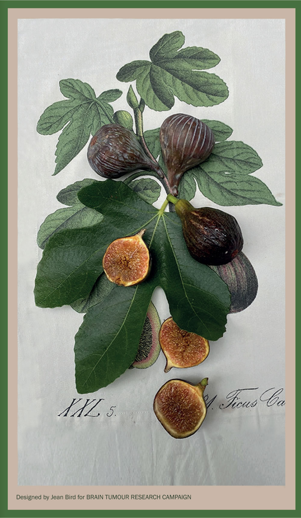 “Fig” Illustrated Cotton Tea Towel (single)